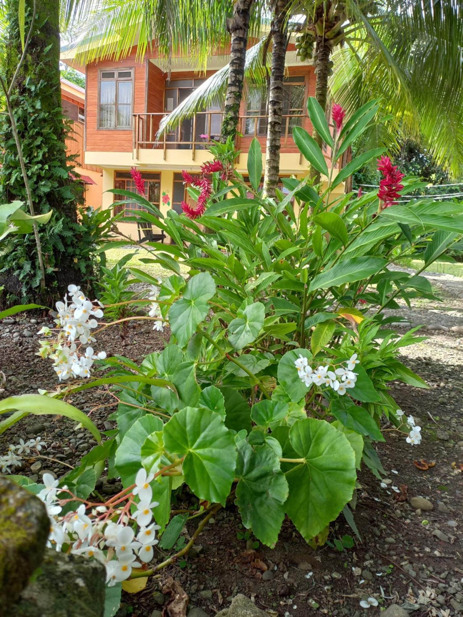 Babilonia Aparthotel Cahuita Luaran gambar