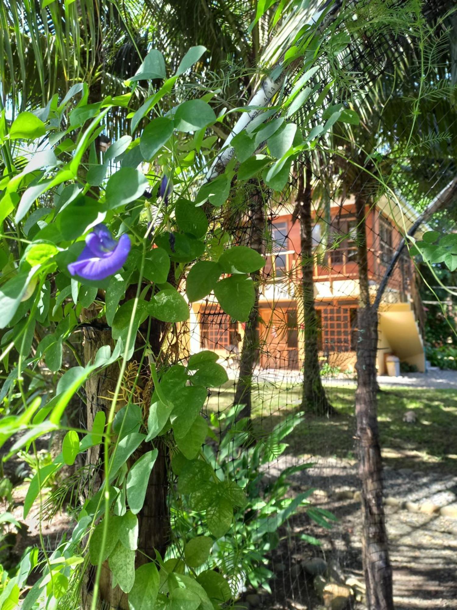 Babilonia Aparthotel Cahuita Luaran gambar