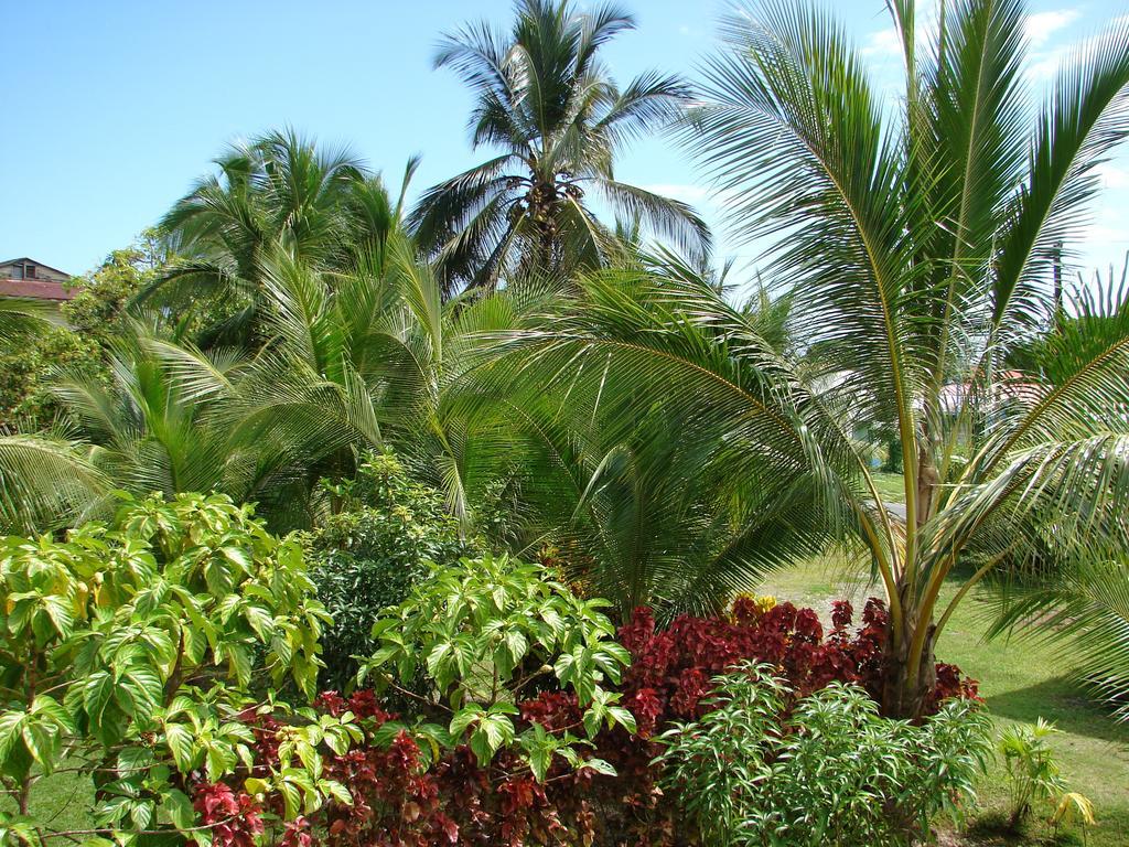 Babilonia Aparthotel Cahuita Bilik gambar