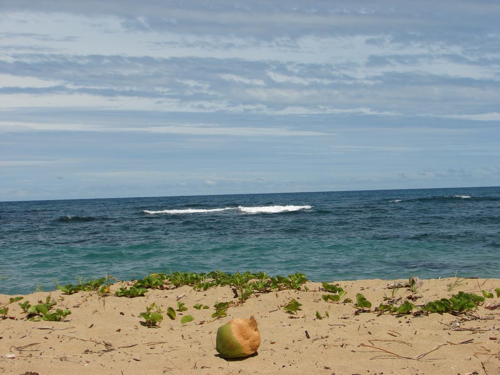 Babilonia Aparthotel Cahuita Luaran gambar