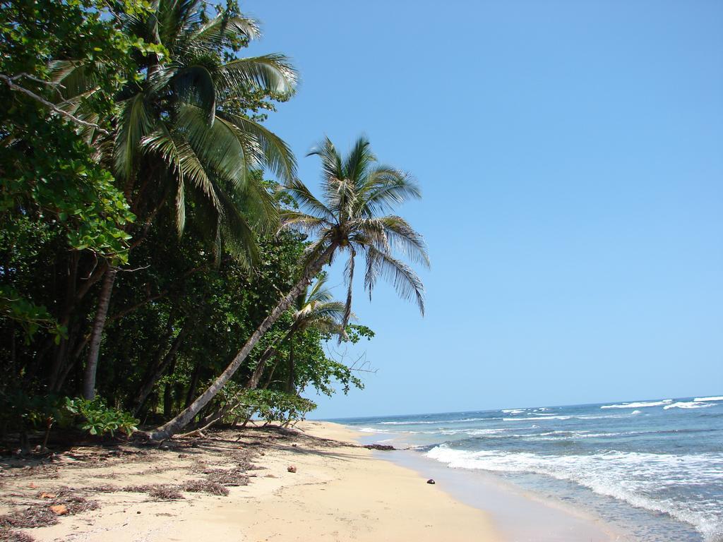 Babilonia Aparthotel Cahuita Luaran gambar