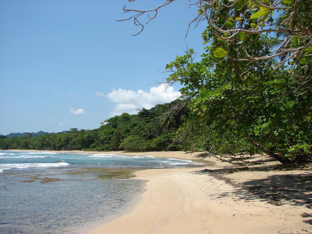Babilonia Aparthotel Cahuita Luaran gambar