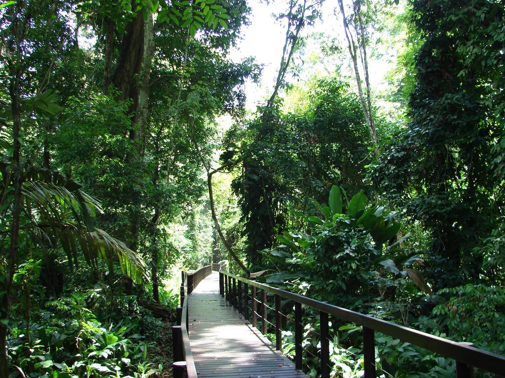 Babilonia Aparthotel Cahuita Luaran gambar