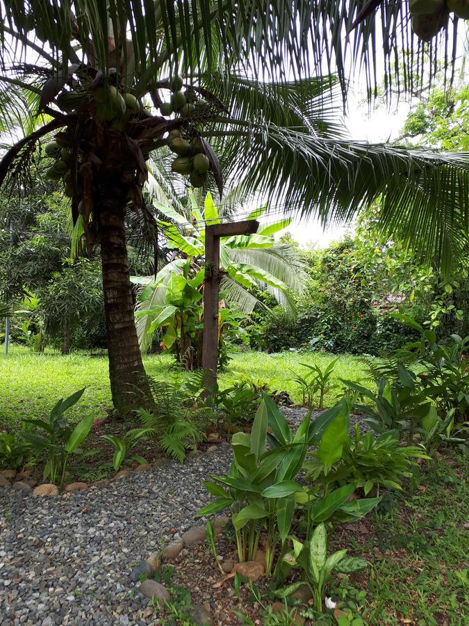 Babilonia Aparthotel Cahuita Luaran gambar