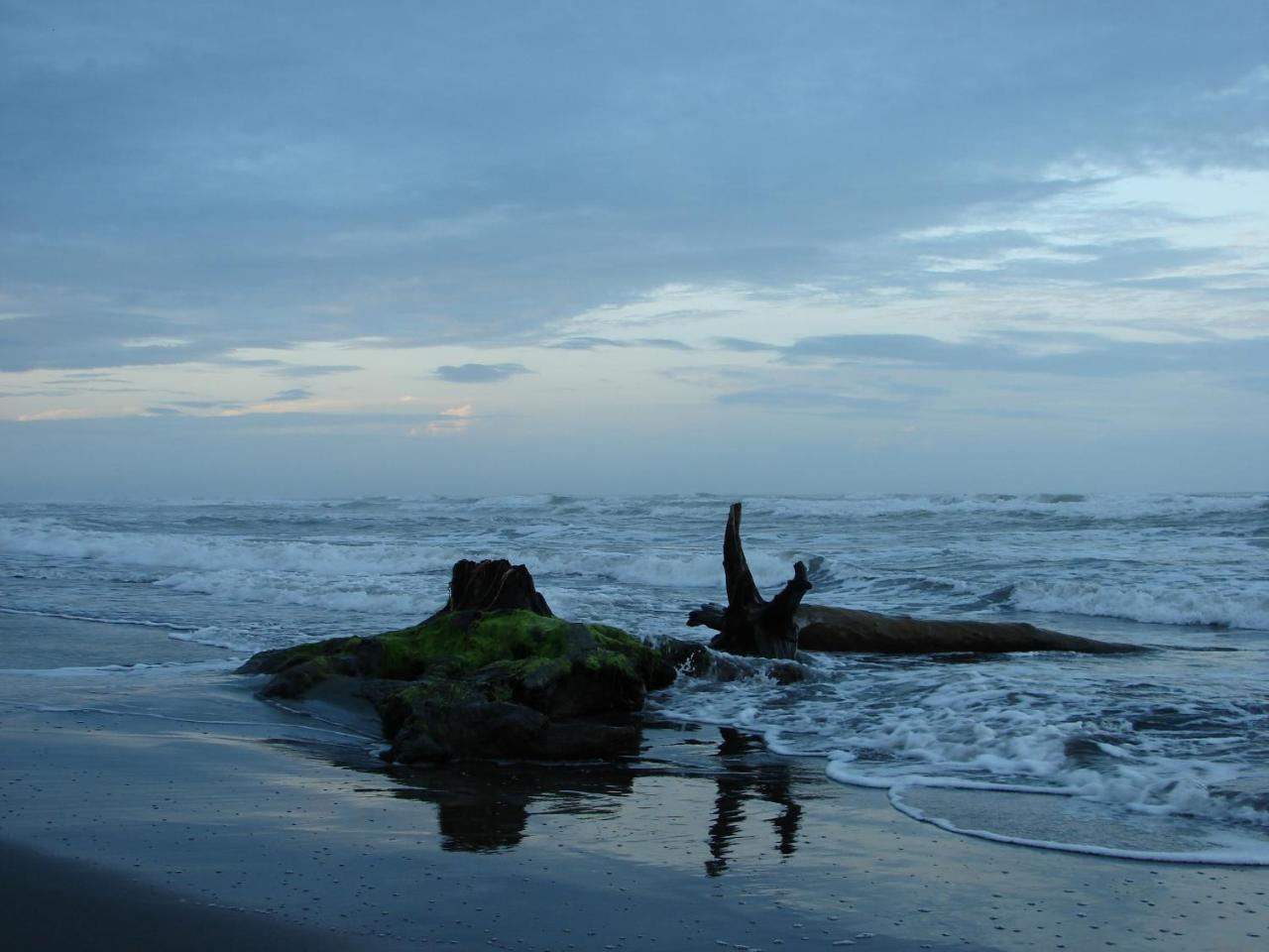 Babilonia Aparthotel Cahuita Luaran gambar
