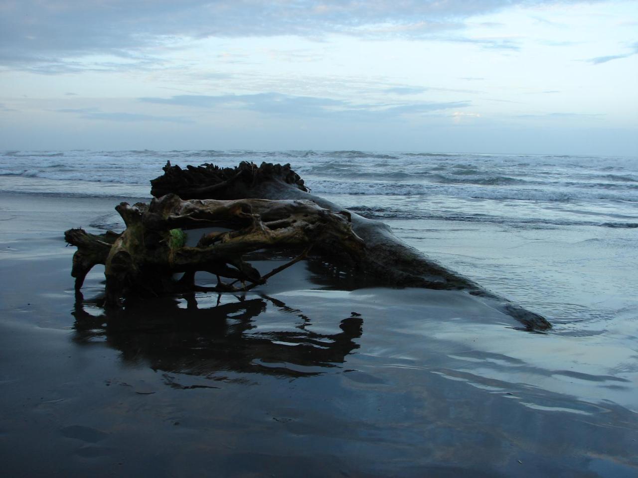 Babilonia Aparthotel Cahuita Luaran gambar